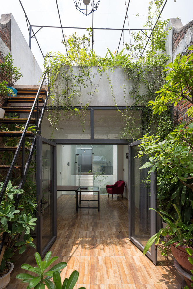 Bao My nuc no khen nha ong ngap cay xanh o Bac Ninh-Hinh-2