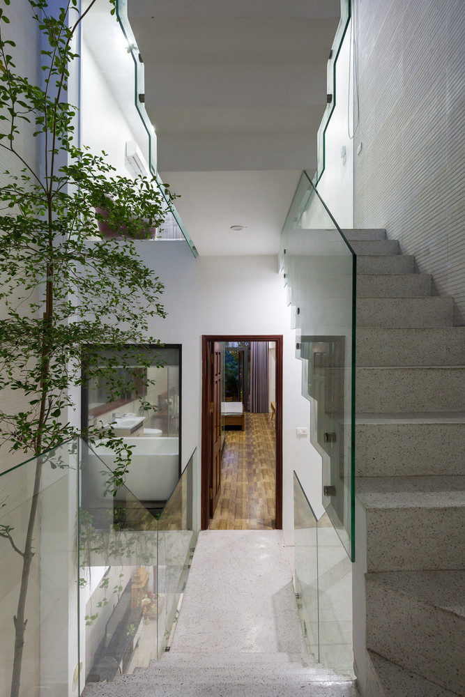 Bao My nuc no khen nha ong ngap cay xanh o Bac Ninh-Hinh-4