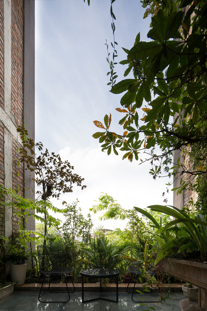 Bao My nuc no khen nha ong ngap cay xanh o Bac Ninh-Hinh-5