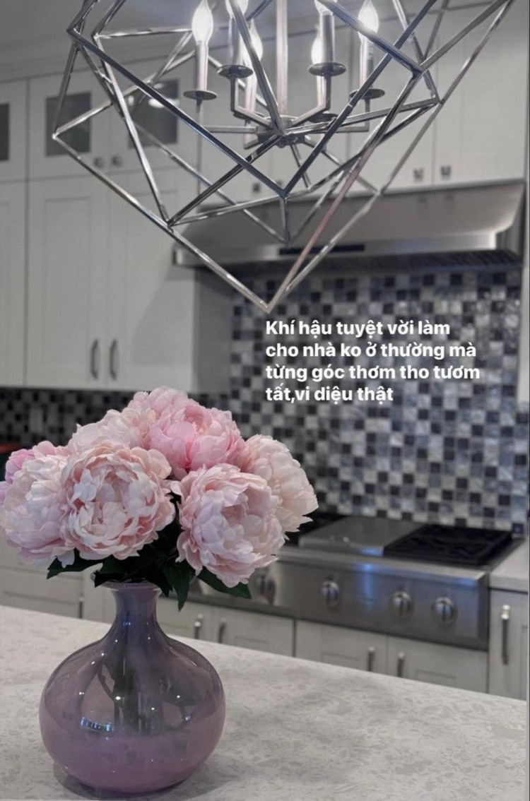 Toan canh biet thu 400m2 cua ca si Le Quyen tai My-Hinh-3