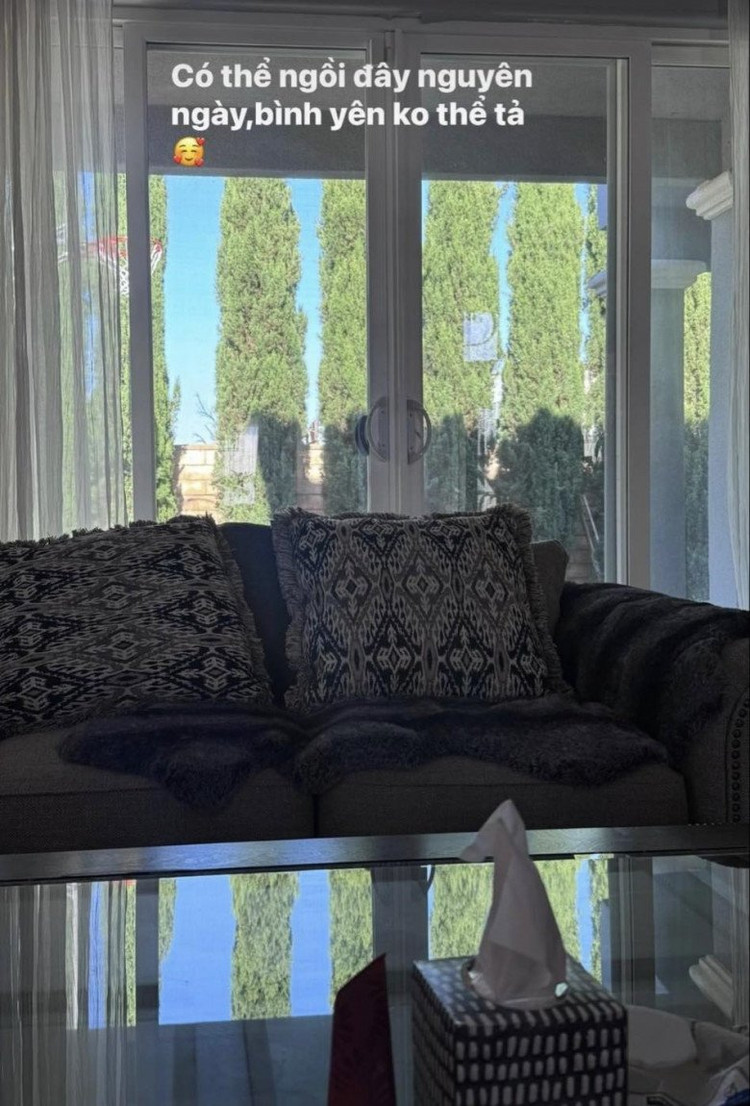 Toan canh biet thu 400m2 cua ca si Le Quyen tai My-Hinh-2