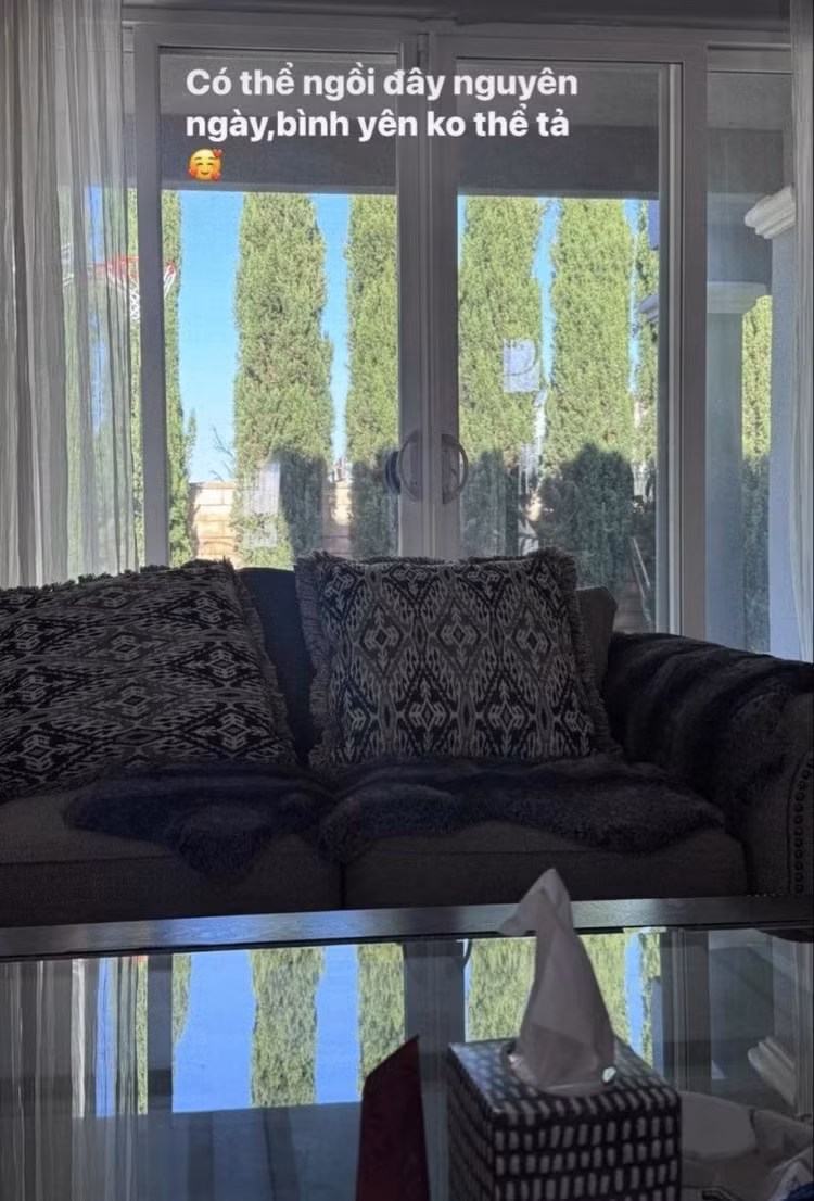 Toan canh biet thu 400m2 cua ca si Le Quyen tai My-Hinh-2