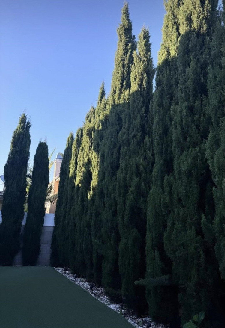 Toan canh biet thu 400m2 cua ca si Le Quyen tai My-Hinh-6