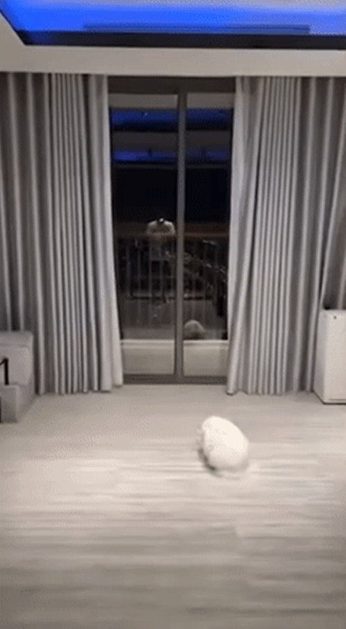 Can ho 20 ty nhu khach san 5 sao cua Tran Thanh - Hari Won-Hinh-5