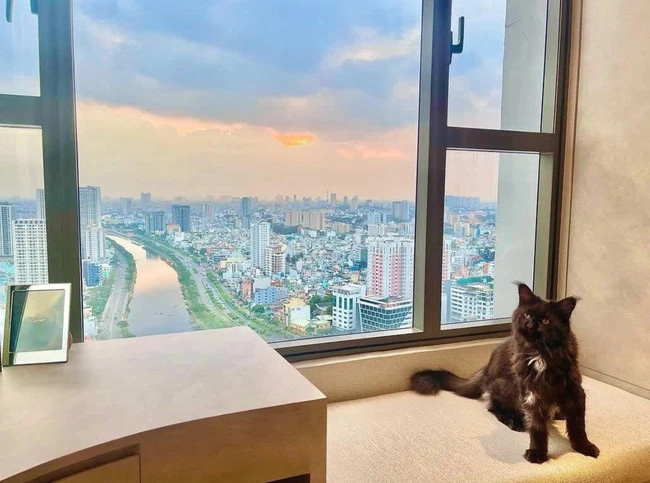 Can ho 20 ty nhu khach san 5 sao cua Tran Thanh - Hari Won-Hinh-2