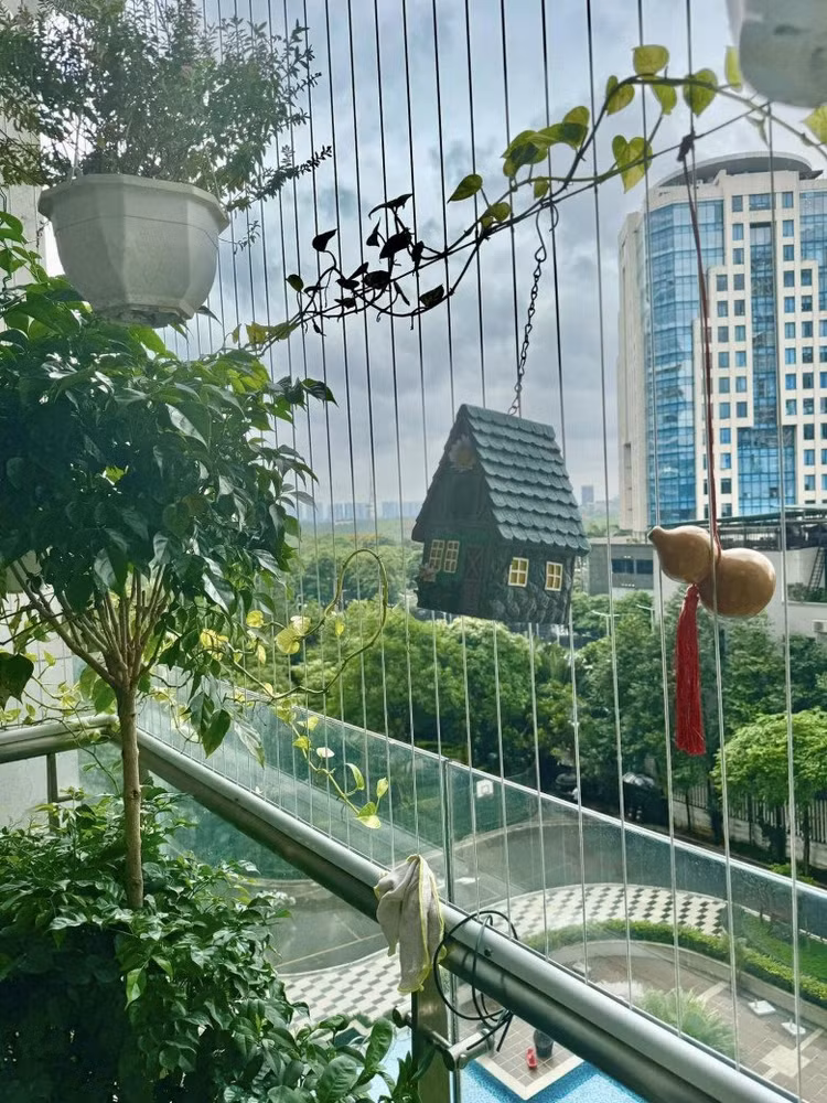 Goc ban cong xanh muot, dep mien che trong nha NSND Tu Long-Hinh-7