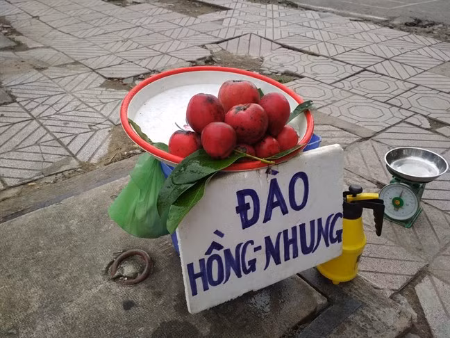 3 loai qua xua khong ai biet gio dan pho “me met” san lung-Hinh-3