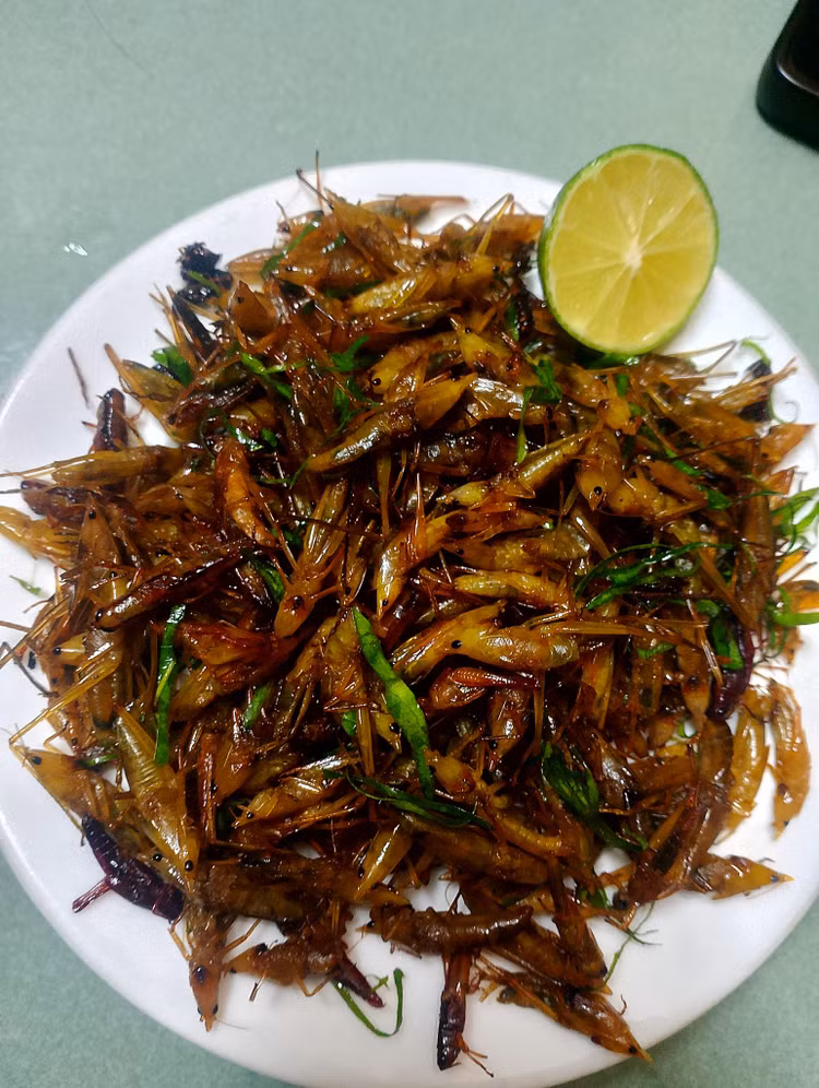 Loai con trung bay day dong gan trieu dong/kg khien nha giau “san lung“-Hinh-10