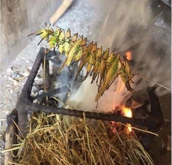 Loai con trung bay day dong gan trieu dong/kg khien nha giau “san lung“-Hinh-2