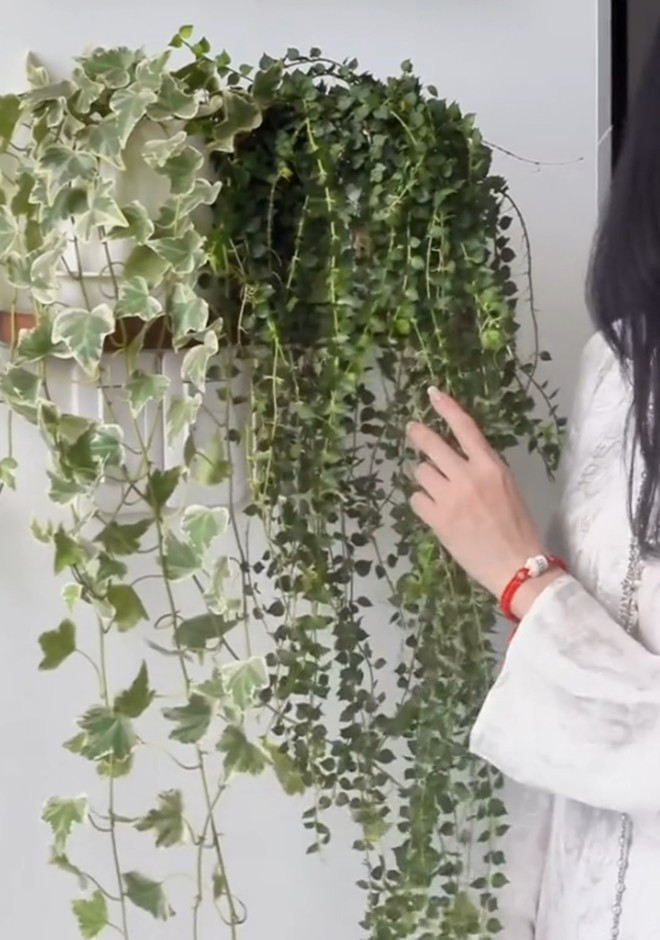 Can canh penthouse 450m2 ngam song Sai Gon cua diva Hong Nhung-Hinh-3