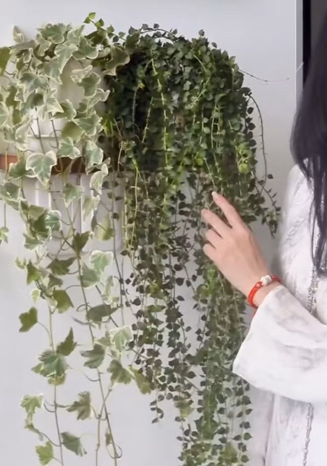 Can canh penthouse 450m2 ngam song Sai Gon cua diva Hong Nhung-Hinh-3