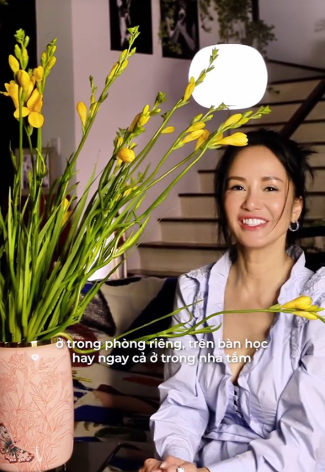 Can canh penthouse 450m2 ngam song Sai Gon cua diva Hong Nhung-Hinh-6