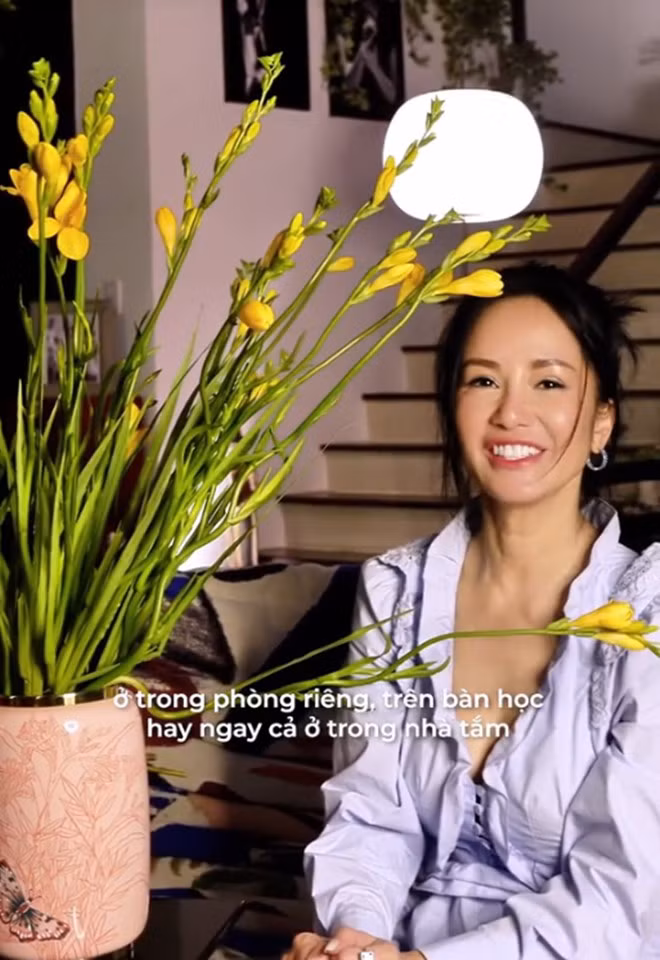 Can canh penthouse 450m2 ngam song Sai Gon cua diva Hong Nhung-Hinh-6