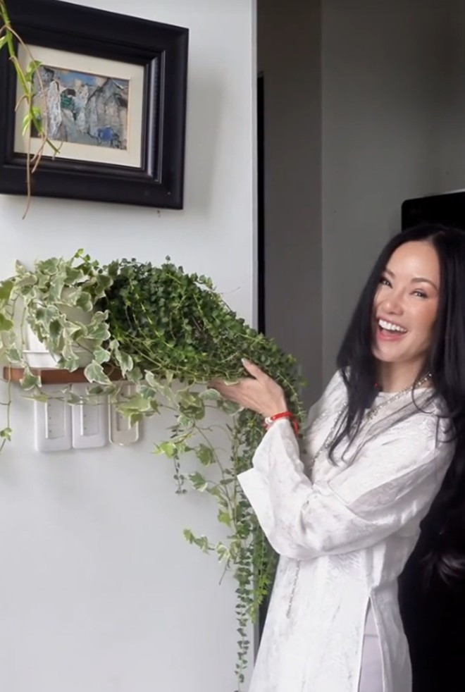 Can canh penthouse 450m2 ngam song Sai Gon cua diva Hong Nhung-Hinh-2