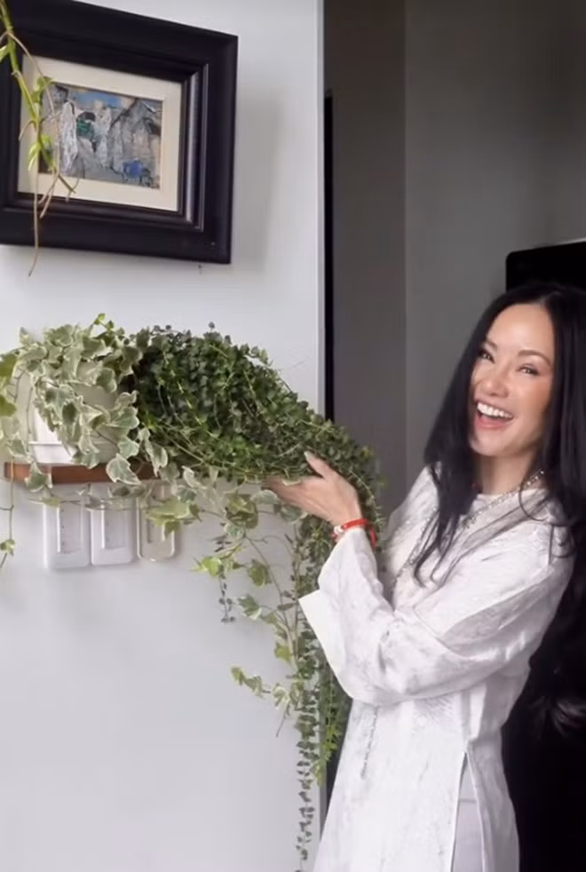 Can canh penthouse 450m2 ngam song Sai Gon cua diva Hong Nhung-Hinh-2