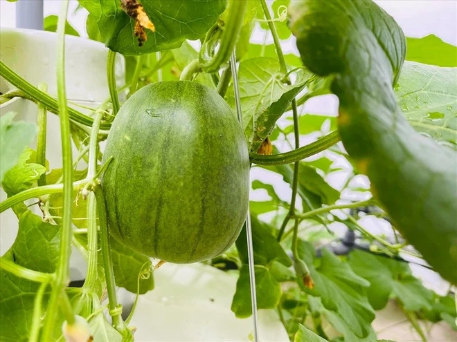 Biet thu san vuon trieu do cua “MC giau nhat Viet Nam”-Hinh-12