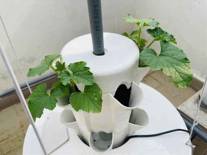 Biet thu san vuon trieu do cua “MC giau nhat Viet Nam”-Hinh-10