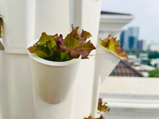 Biet thu san vuon trieu do cua “MC giau nhat Viet Nam”-Hinh-9