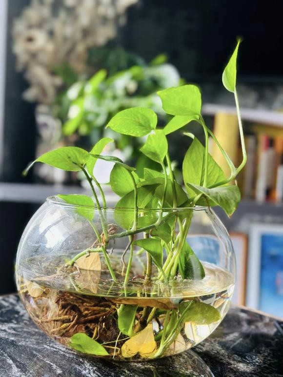 Biet thu san vuon trieu do cua “MC giau nhat Viet Nam”-Hinh-5