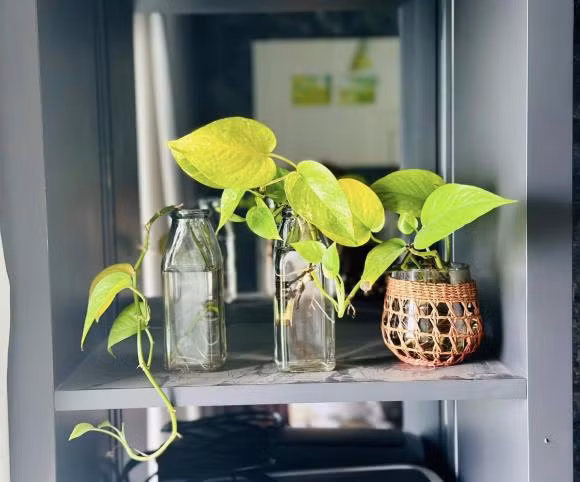 Biet thu san vuon trieu do cua “MC giau nhat Viet Nam”-Hinh-4