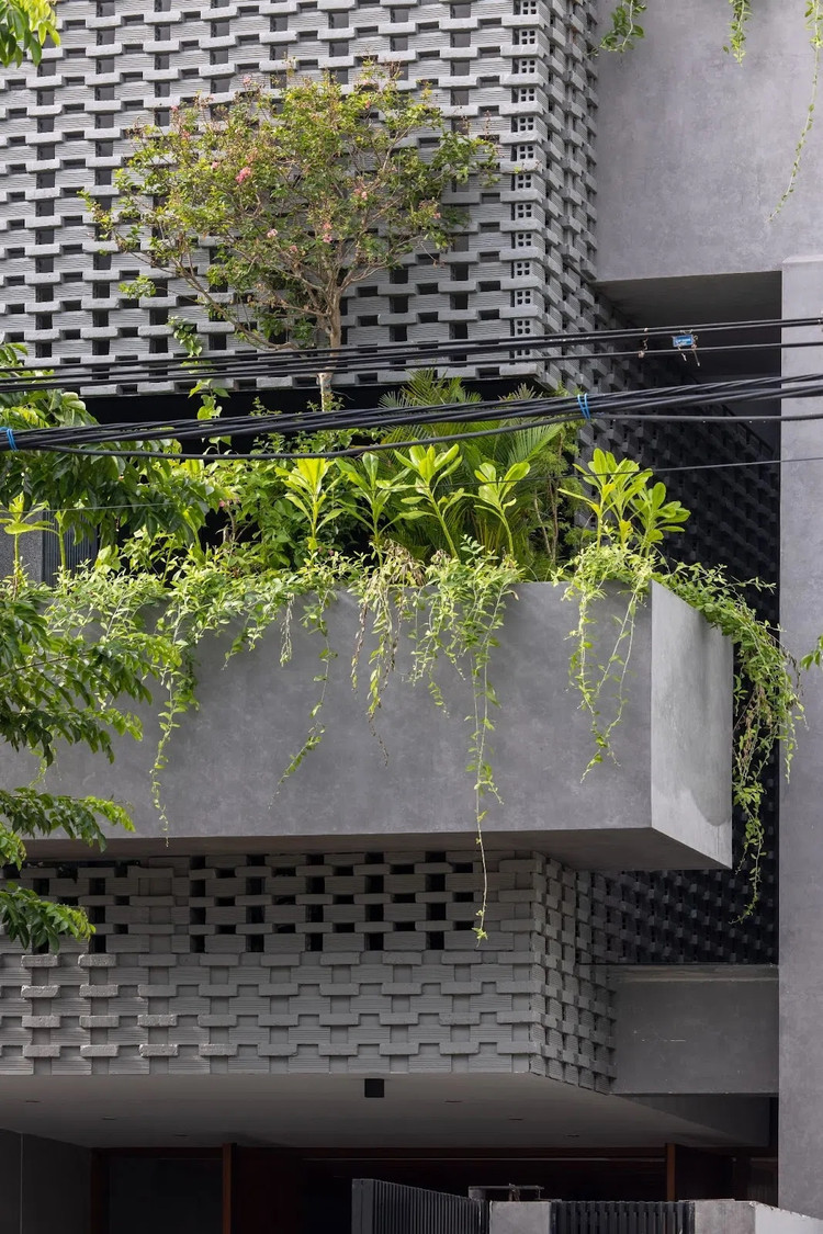 “Boc” vo nhiet doi ben ngoai, nha pho mat ruoi khong can dieu hoa-Hinh-4