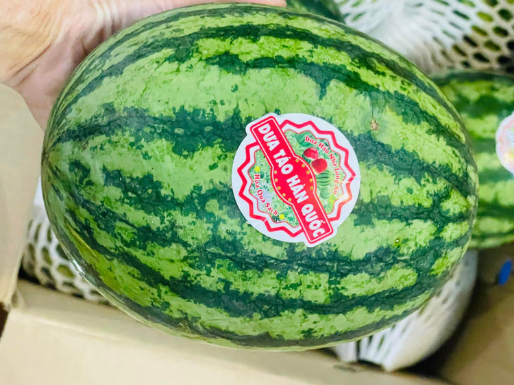 Dua hau mini Han Quoc bat ngo ban day cho voi gia “sieu re”