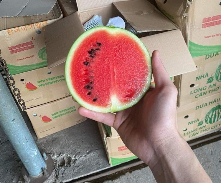 Dua hau mini Han Quoc bat ngo ban day cho voi gia “sieu re”-Hinh-8