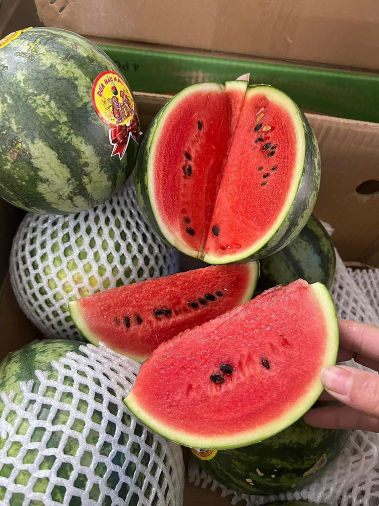 Dua hau mini Han Quoc bat ngo ban day cho voi gia “sieu re”-Hinh-3