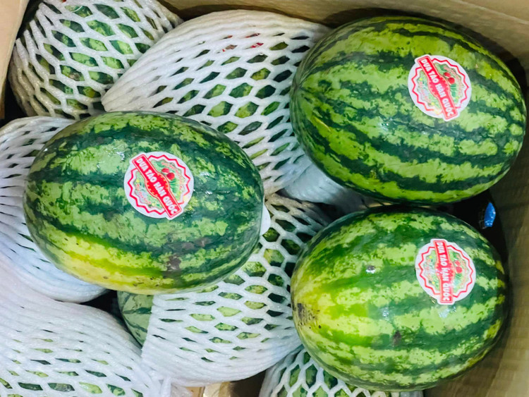 Dua hau mini Han Quoc bat ngo ban day cho voi gia “sieu re”-Hinh-10