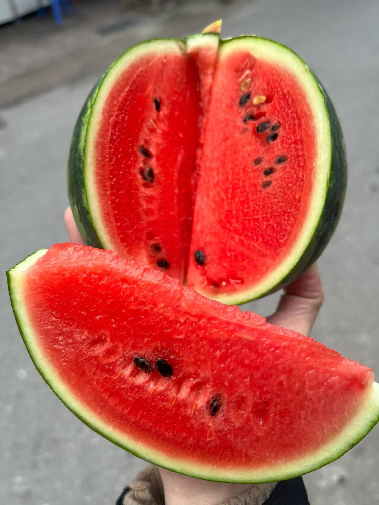 Dua hau mini Han Quoc bat ngo ban day cho voi gia “sieu re”-Hinh-7