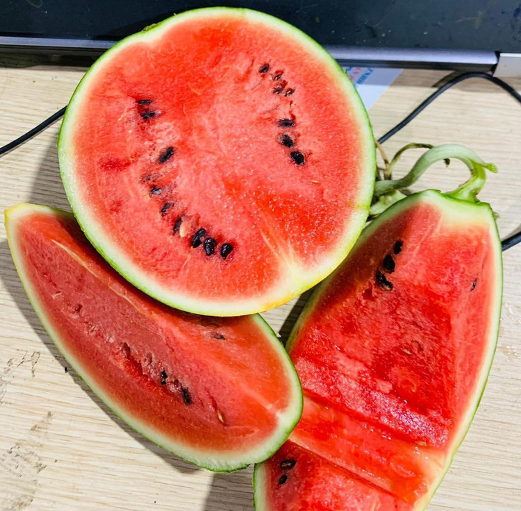 Dua hau mini Han Quoc bat ngo ban day cho voi gia “sieu re”-Hinh-6