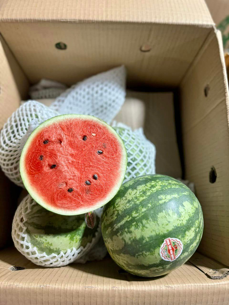 Dua hau mini Han Quoc bat ngo ban day cho voi gia “sieu re”-Hinh-4