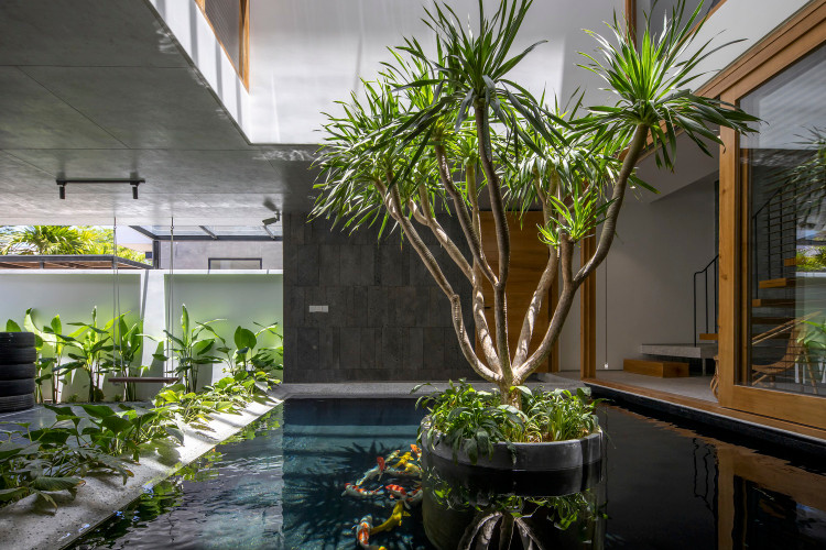 Lui 4 mat, nha Da Nang dua nang gio vao tung goc nho-Hinh-10