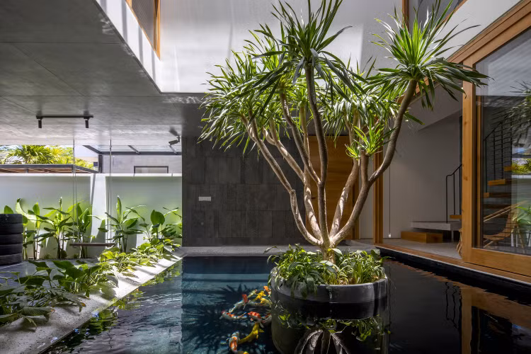 Lui 4 mat, nha Da Nang dua nang gio vao tung goc nho-Hinh-10