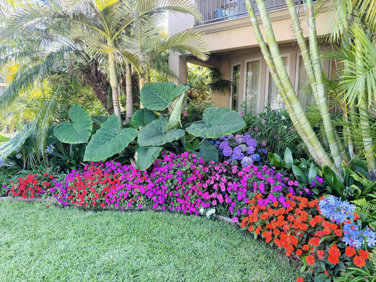 Can canh biet thu “ngan hoa” ruc ro cua Dam Vinh Hung tai My-Hinh-3