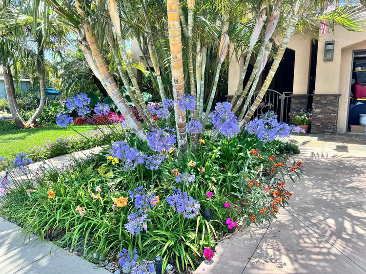 Can canh biet thu “ngan hoa” ruc ro cua Dam Vinh Hung tai My-Hinh-5