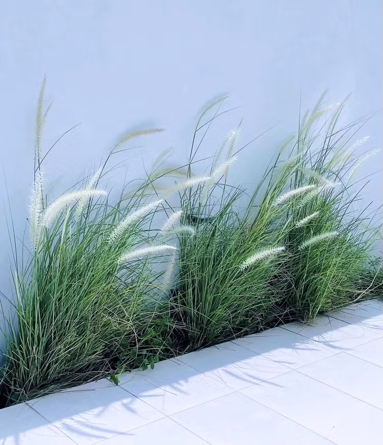 Biet thu tien ty “pha di xay lai” cua Cong Vinh - Thuy Tien-Hinh-8