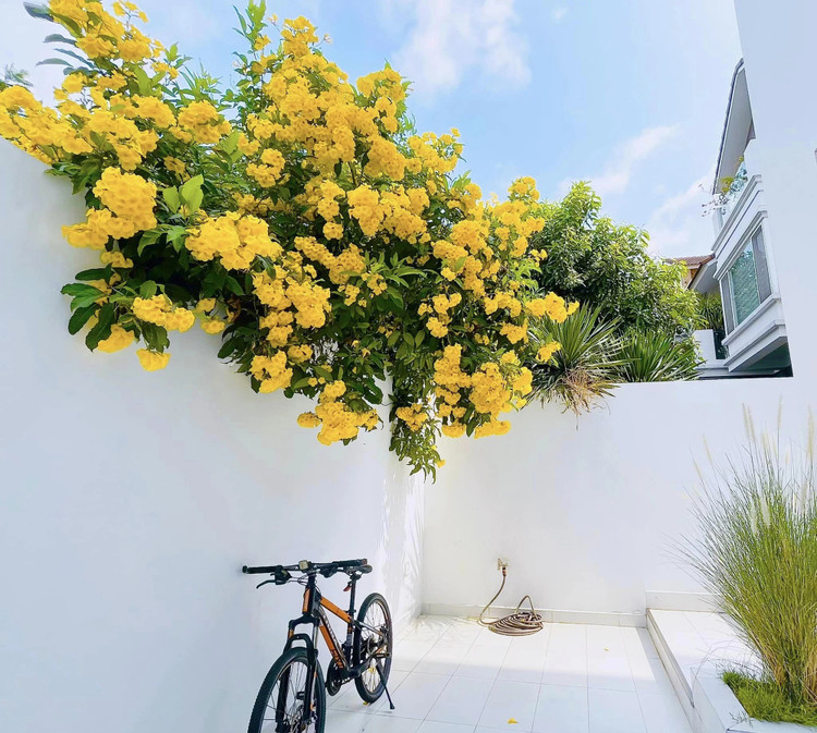 Biet thu tien ty “pha di xay lai” cua Cong Vinh - Thuy Tien-Hinh-5