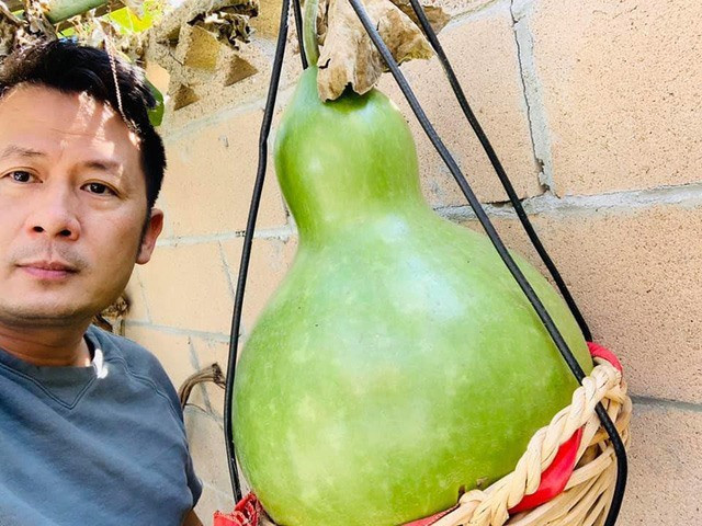 Co gi trong biet thu nha vuon 2.000m2 cua Bang Kieu o My?-Hinh-9