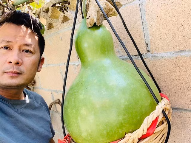 Co gi trong biet thu nha vuon 2.000m2 cua Bang Kieu o My?-Hinh-9