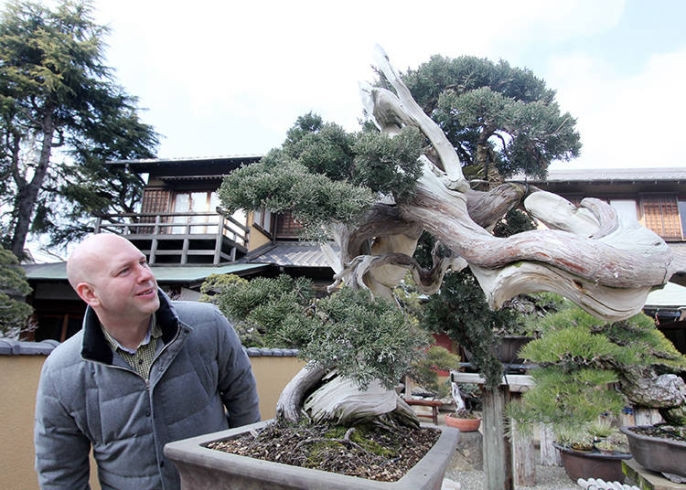 10 tac pham bonsai dat nhat the gioi, co cay gia ngang biet thu-Hinh-5