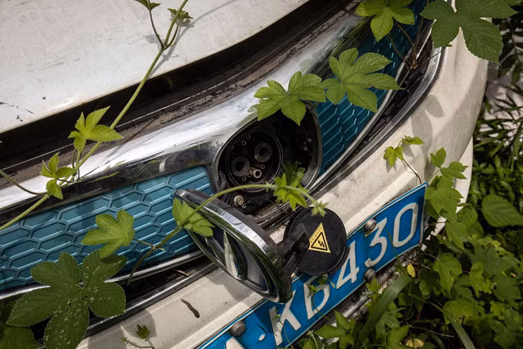 Xem nghia dia oto dien bo hoang, chat dong o Trung Quoc-Hinh-11