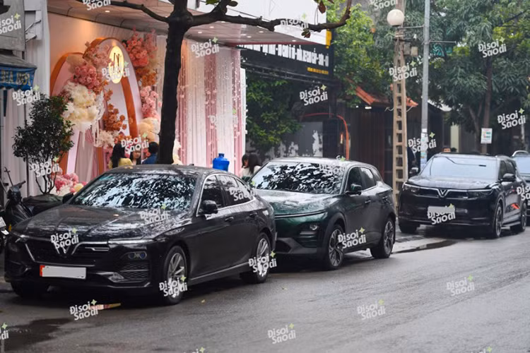 Dan oto VinFast tai dam hoi con trai ty phu giau nhat Viet Nam-Hinh-3