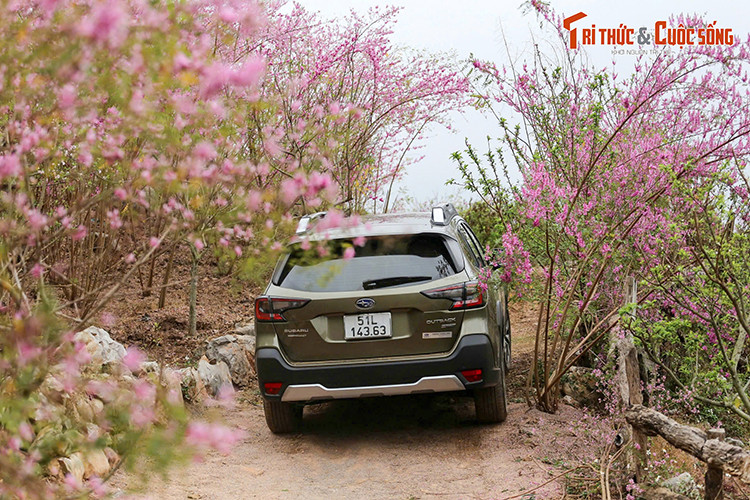 Subaru Outback tại Việt Nam - an toàn và vững bền cho người sử dụng - Hình 4 Subaru Outback tai Viet Nam - an toan va vung ben cho nguoi su dung-Hinh-4