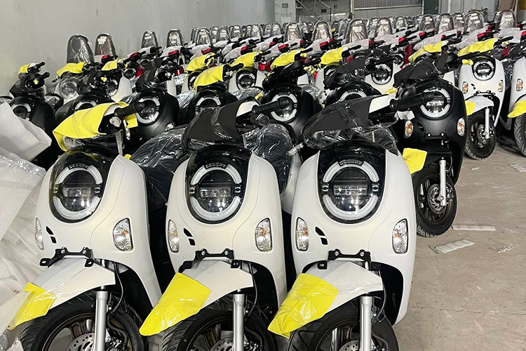 Can canh Honda Scoopy 2025 