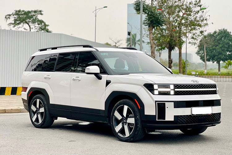 Hyundai SantaFe 2024 chay 12.000km, rao ban 1,2 ty tai Ha Noi-Hinh-10