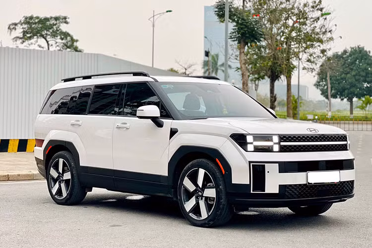 Hyundai SantaFe 2024 chay 12.000km, rao ban 1,2 ty tai Ha Noi-Hinh-10