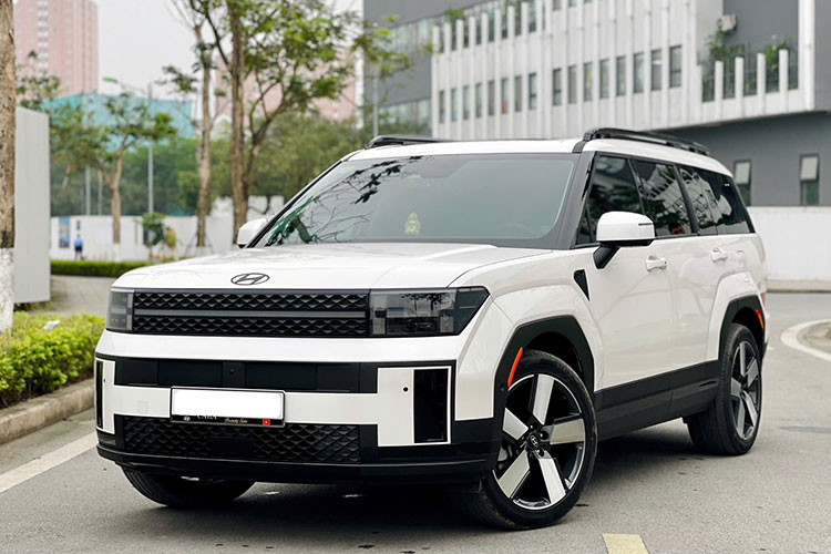 Hyundai SantaFe 2024 chay 12.000km, rao ban 1,2 ty tai Ha Noi