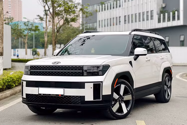 Hyundai SantaFe 2024 chay 12.000km, rao ban 1,2 ty tai Ha Noi