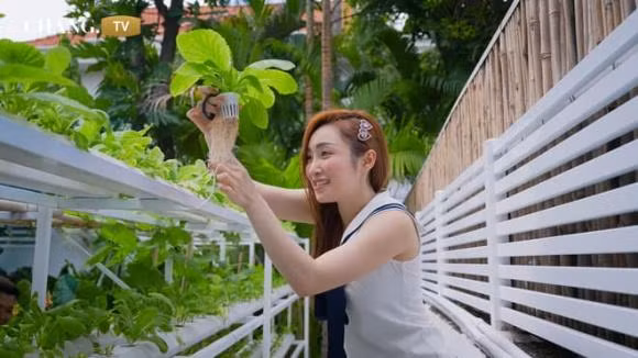 Me man khu vuon xanh muot trong biet thu cua vo chong Chi Bao-Hinh-3